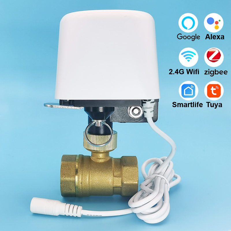 Home Assistant Tuya - 1/2インチ 3/4インチ 1インチ DN32 Tuya Zigbee