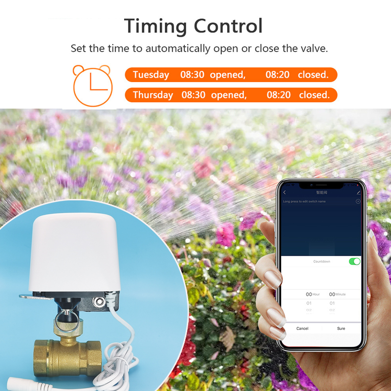1/2インチ 3/4インチ 1インチ DN32 Tuya Z - Home Assistant Tuya のレビューと価格