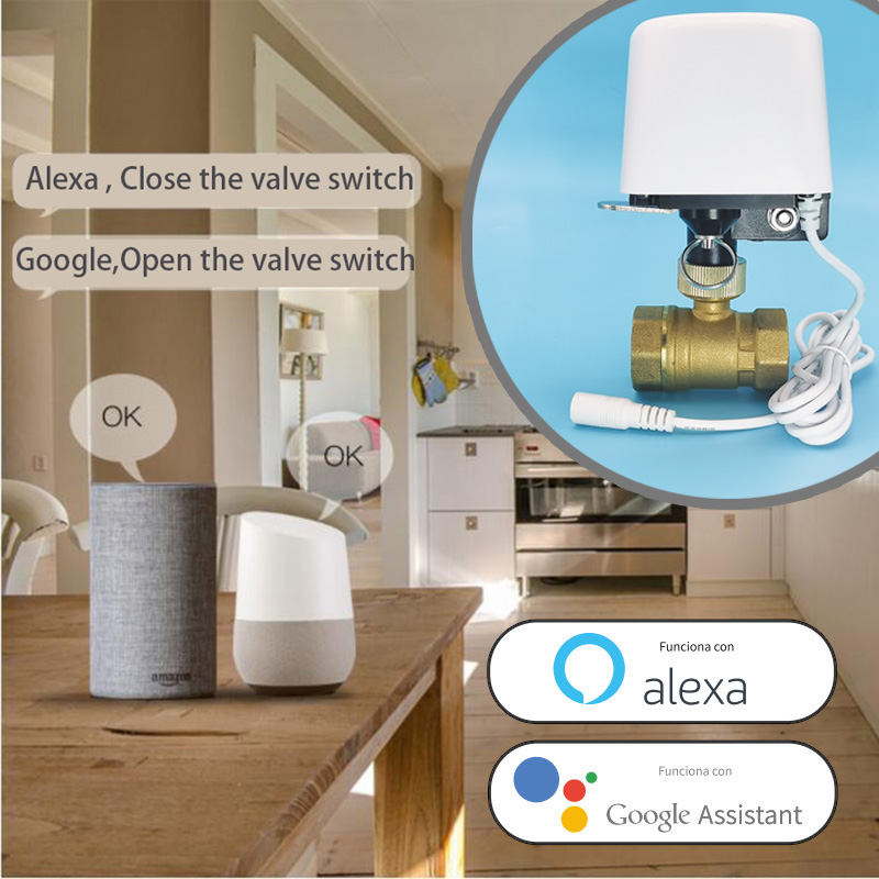 1/2インチ 3/4インチ 1インチ DN32 Tuya Z - Home Assistant Tuya のレビューと価格