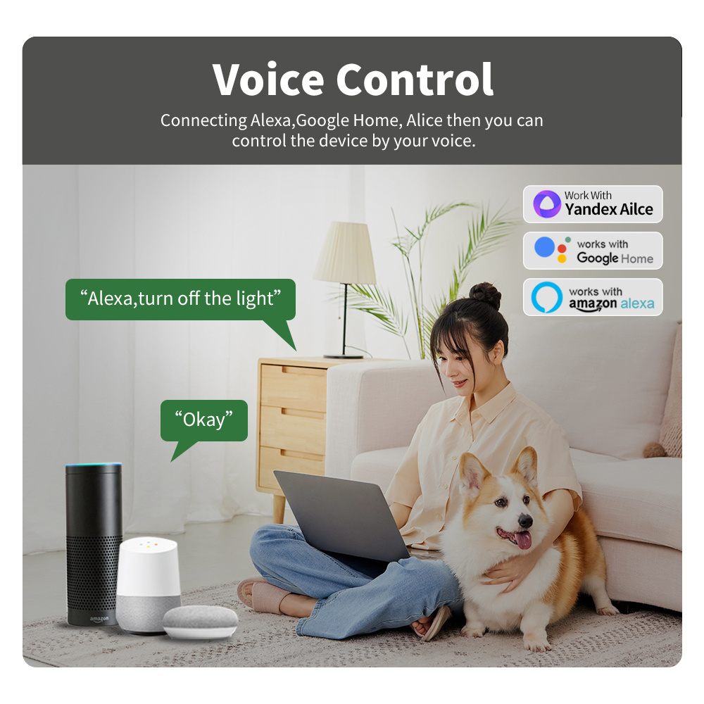 ミニWiFiスマートスイッチモジュール、双方向制御対応、スマ - Sonoff Basic のレビューと価格