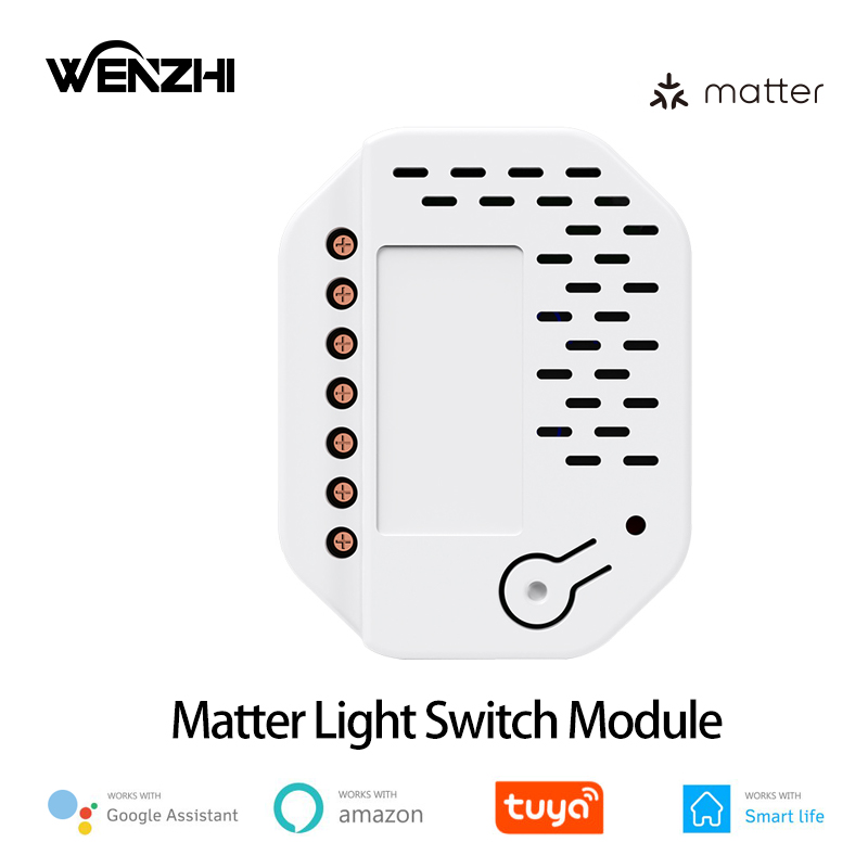 マターライトスイッチモジュール 2ギャングリレー 220V  - Smart Relay Tuya のレビューと価格